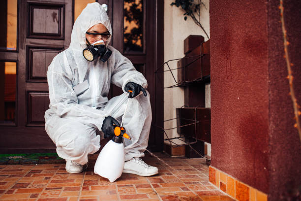 Reliable Cockroach Control contractor in Chester, VA by Nex Pest Control